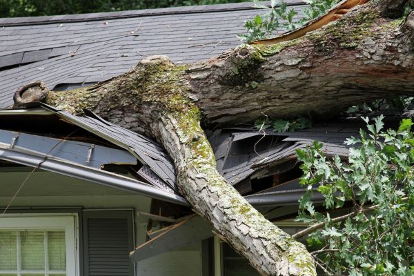 Storm Remediation in Grand Rapids