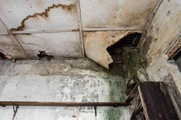 Water Damage Service in Grand Rapids