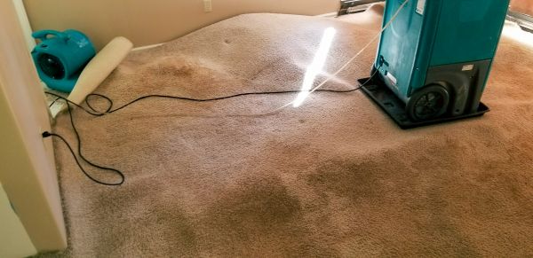 Flood Damage Cleanup in Grand Rapids