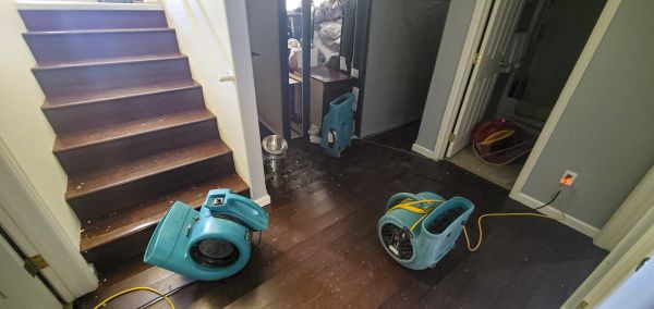 Water Damage Remediation in Grand Rapids