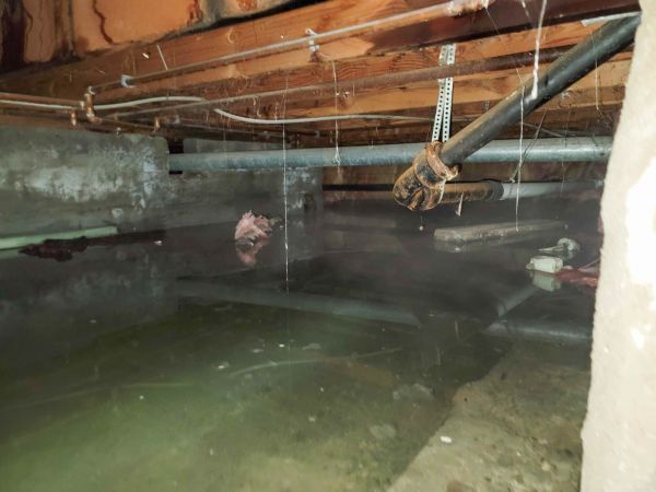 Water Mitigation Service in Grand Rapids