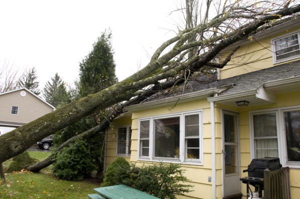 Hurricane Damage Repair in Grand Rapids